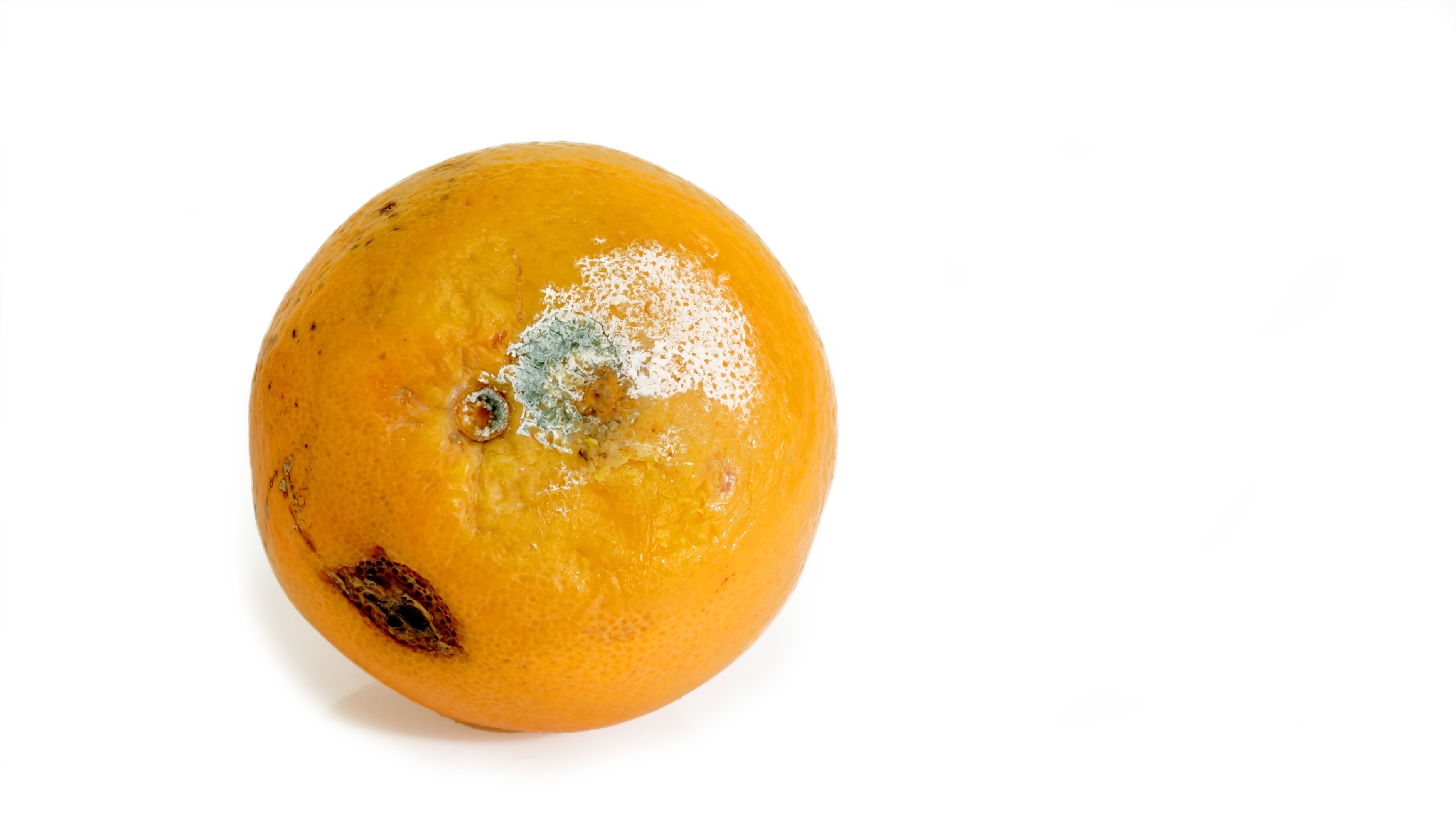 霉变水果别乱吃，切掉煮熟也没用