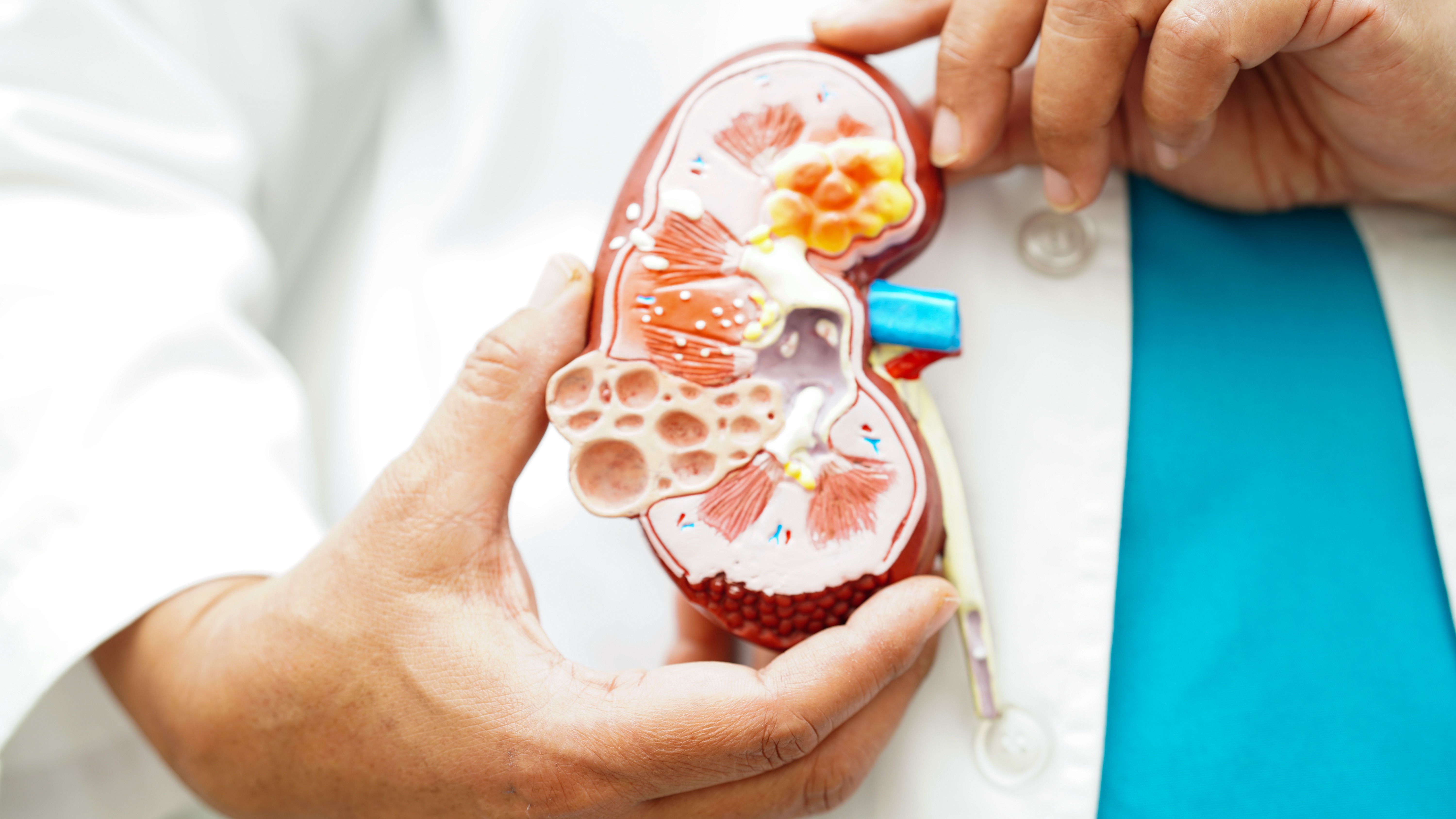 肾病易引发高钾高尿酸血症，专家教你科学管理