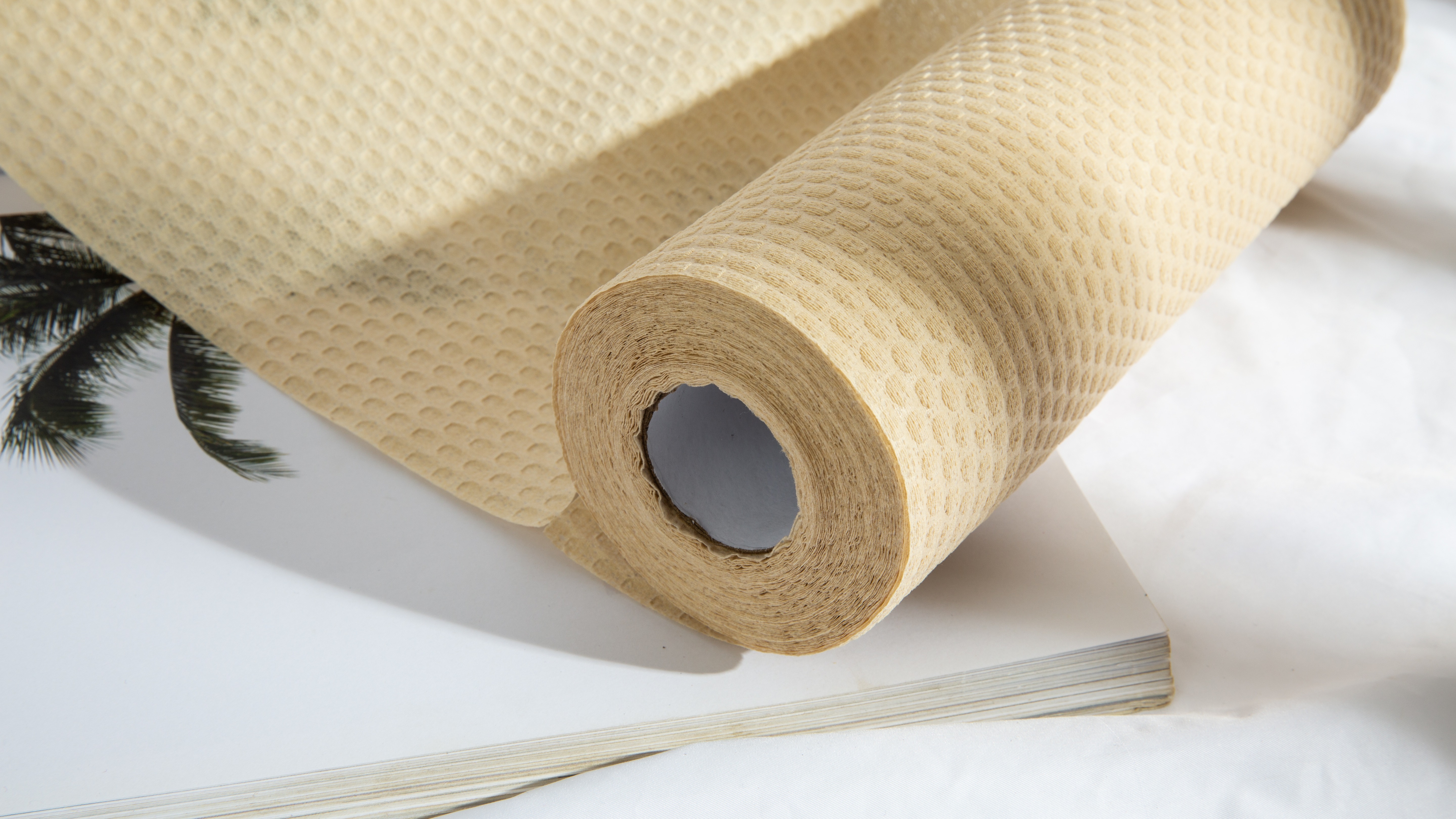 厨房纸不是万能纸,这样用才安全