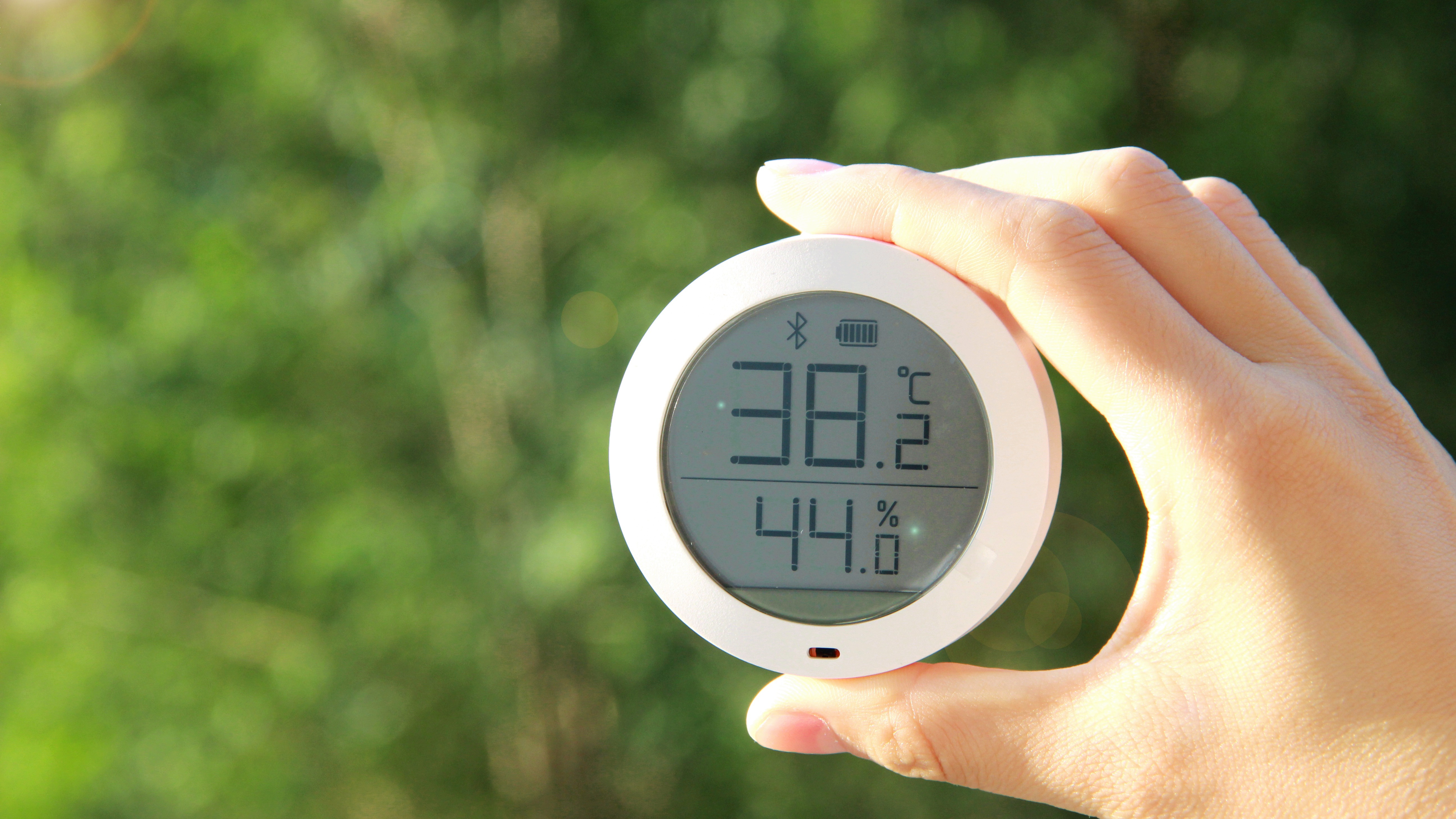 今明两年或成最热年？专家：下定论为时过早