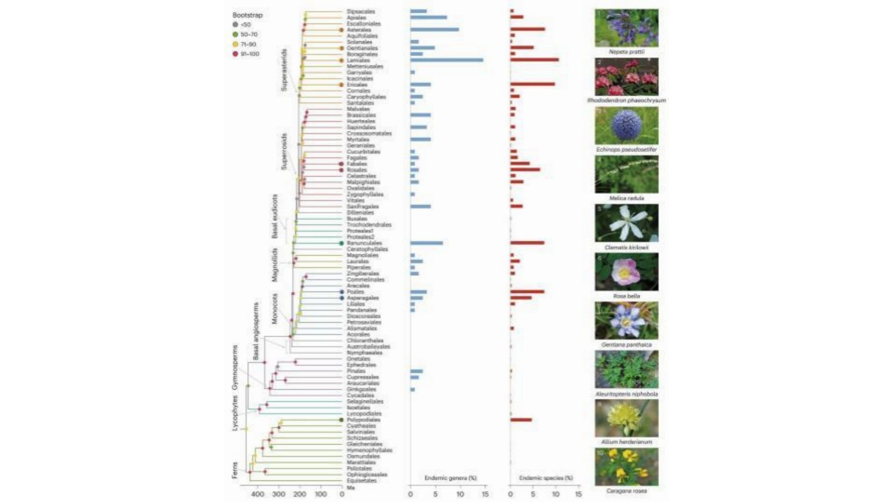 什么是生物多样性热点？华中地区凭什么入选