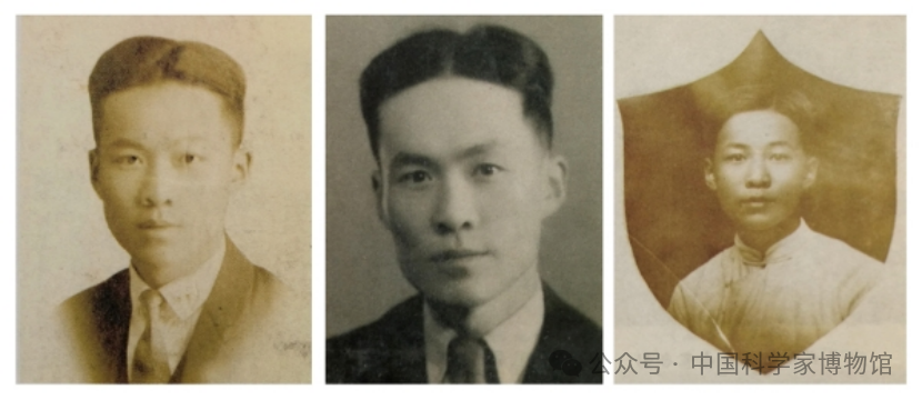 三位科学家的“中国粮”守护故事 | 小满