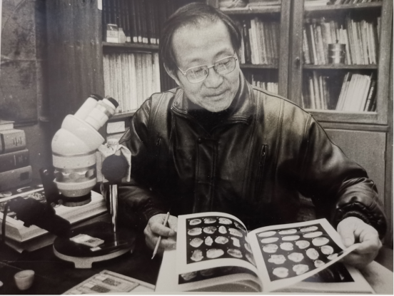 图片