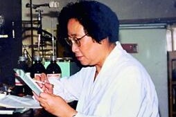 一株坚韧的“中国小草”