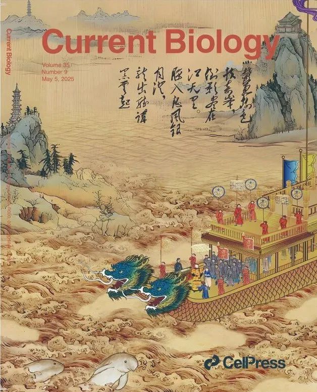 乾隆下江南登期刊封面！5万诗词里寻迹“微笑精灵”