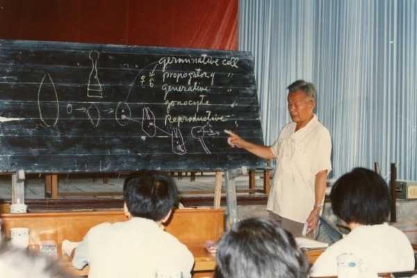 把一切奉献给国家，留给子女的却出乎所有人的意料｜李嘉泳