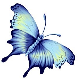 2008112104434715_2.jpg