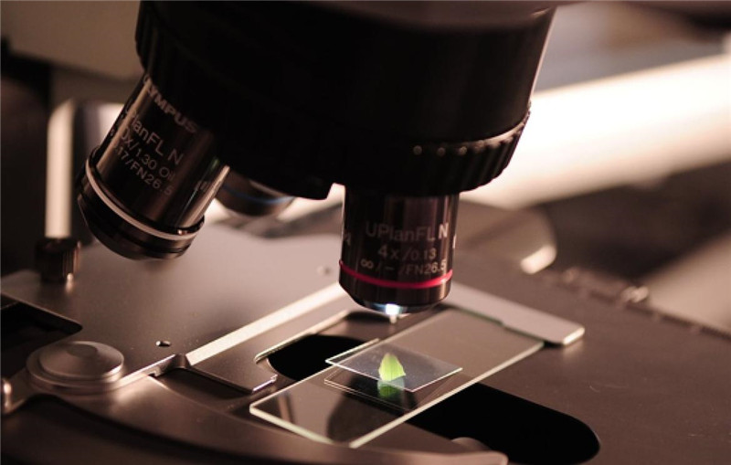 photo%2F0009%2F2018-03-26%2FDDQQ7VP10AI20009NOS