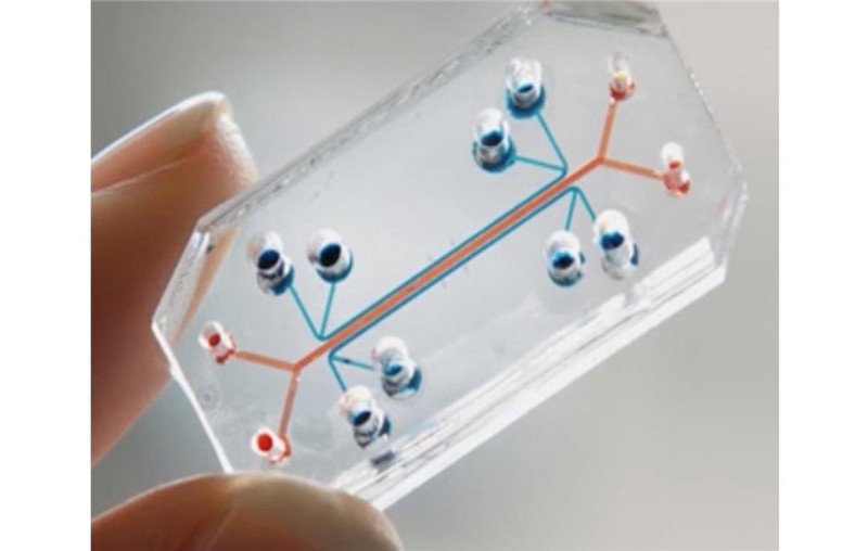 photo%2F0009%2F2018-03-26%2FDDQQ7VP00AI20009NOS