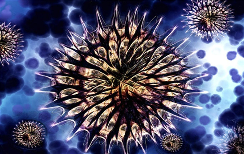 photo%2F0009%2F2018-03-26%2FDDQQ7VOS0AI20009NOS