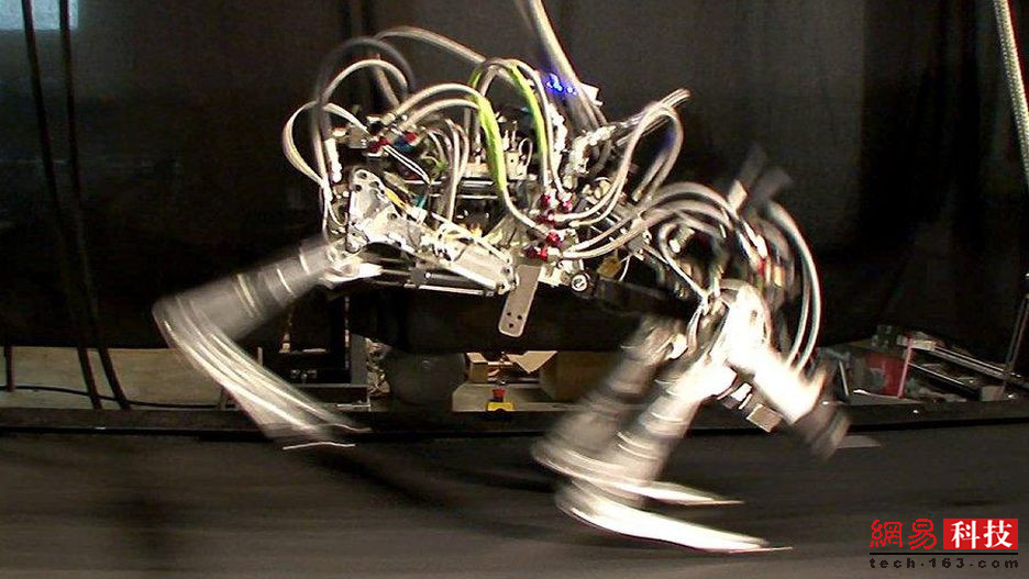 揭秘波士顿动力公司机器人家族 神奇到逆天