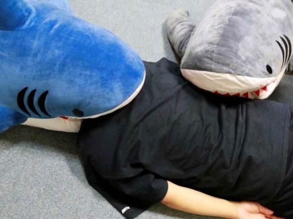 鲨鱼抱枕4