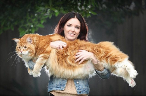 “And he demands we cuddle and pet him all through the night”