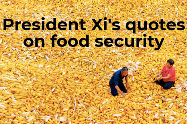 President Xi's quotes on food security