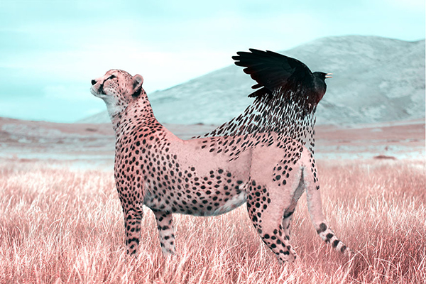 Here’s How I Imagine Animals Behave When You Aren’t Looking