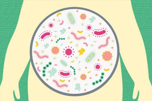 科学精神-科学方法