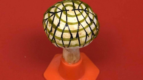 bionic-mushroom