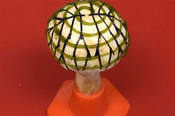  This bionic mushroom can make electricity