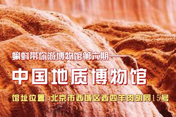 第六期蝌蚪游博物馆 中国地质博物馆