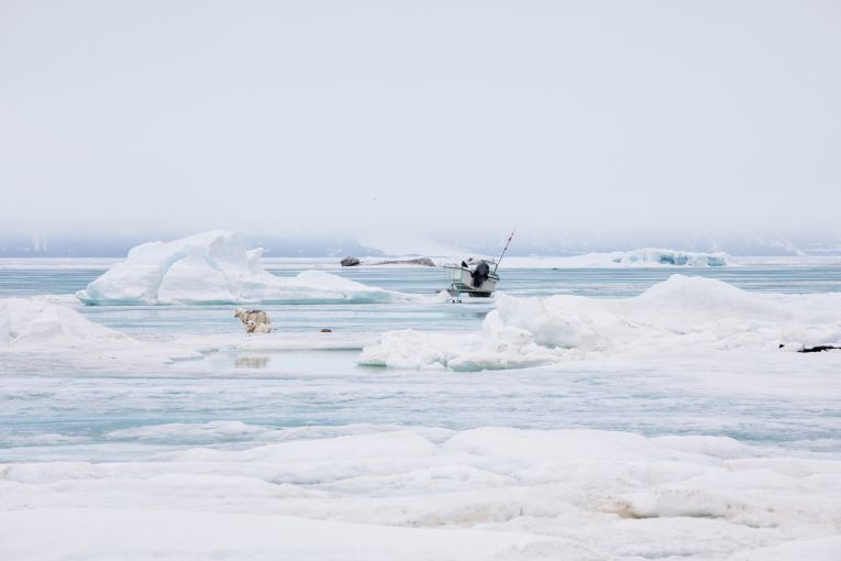 photo%2F0009%2F2018-11-28%2FE1O0LRBJ0AI20009NOS