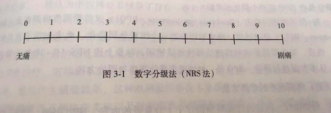 花儿的梦想 ——像鸟儿一样不再松开手