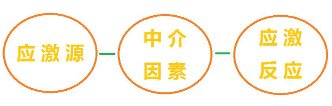 来自“幸运”手表的启迪