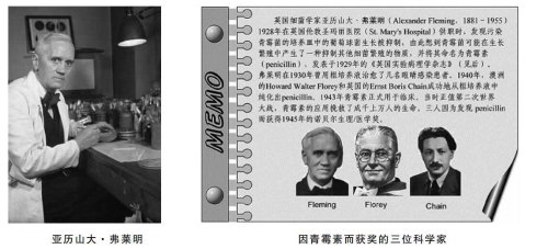 QQ截图20181207120421