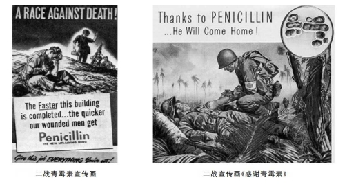 QQ截图20181207120519