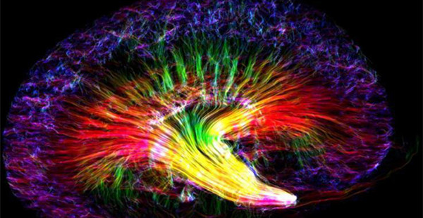 2018年度最佳科学研究摄影大赛作品展