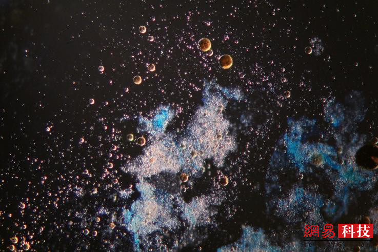 photo%2F0009%2F2018-12-28%2FE43LO73V0AI20009NOS