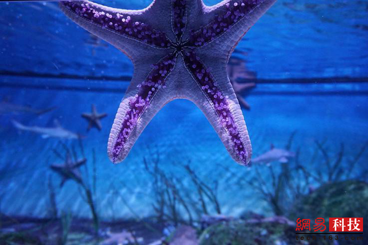 photo%2F0009%2F2018-12-28%2FE43LO73U0AI20009NOS