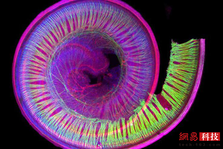 photo%2F0009%2F2018-12-28%2FE43LO73S0AI20009NOS