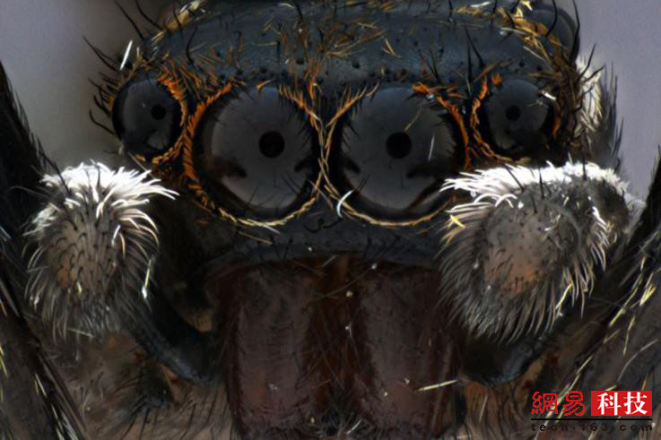 photo%2F0009%2F2018-12-28%2FE43LO73R0AI20009NOS