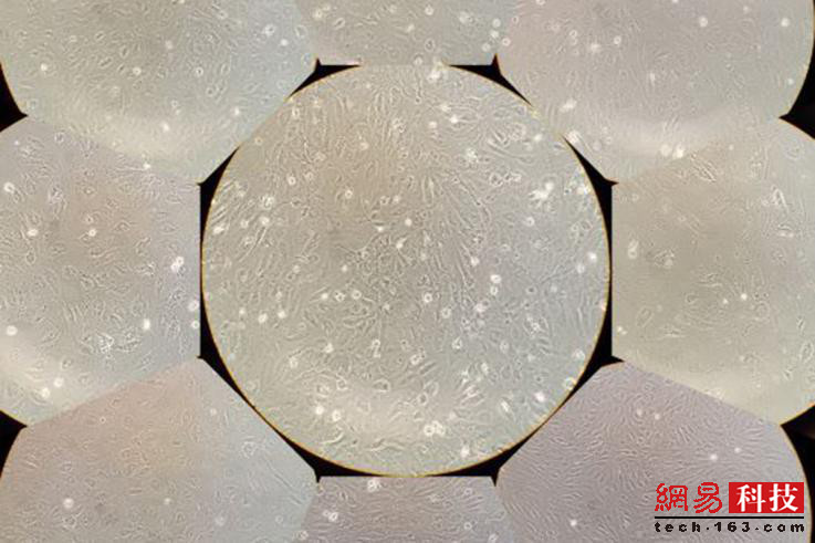 photo%2F0009%2F2018-12-28%2FE43LO73Q0AI20009NOS