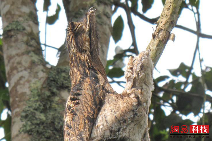 photo%2F0009%2F2018-12-28%2FE43LO73P0AI20009NOS