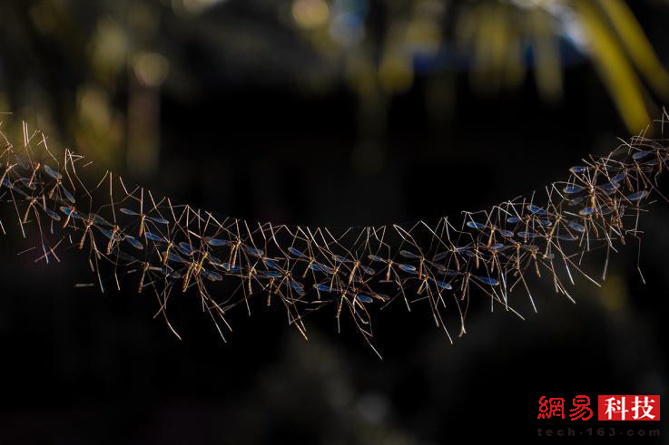 photo%2F0009%2F2018-12-28%2FE43LO73O0AI20009NOS