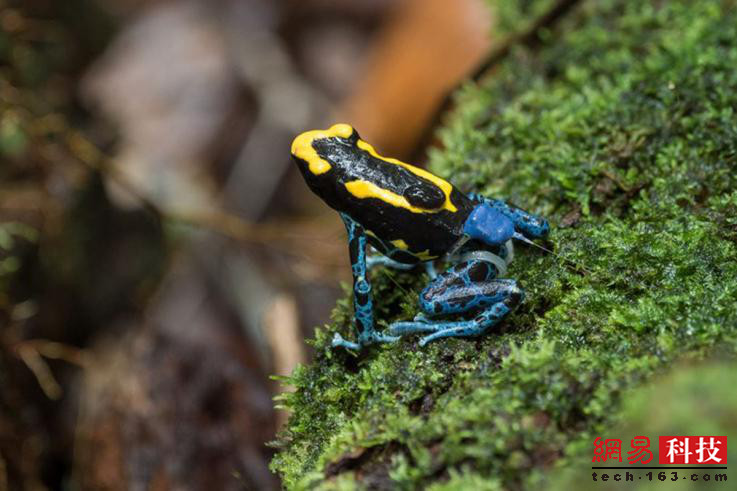 photo%2F0009%2F2018-12-28%2FE43LO73N0AI20009NOS