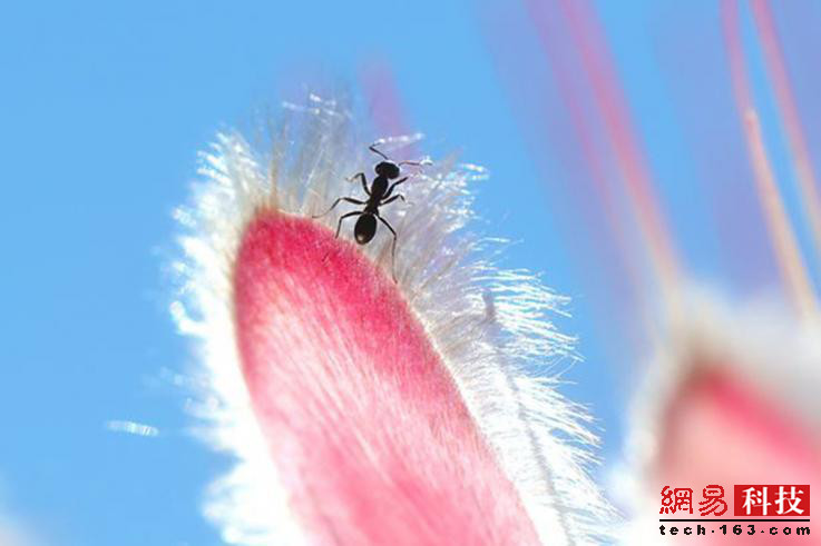 photo%2F0009%2F2018-12-28%2FE43LO73L0AI20009NOS