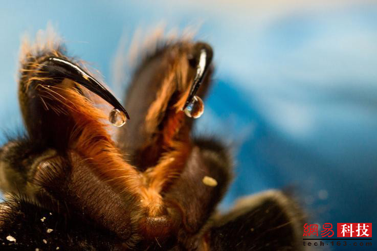 photo%2F0009%2F2018-12-28%2FE43LO73J0AI20009NOS