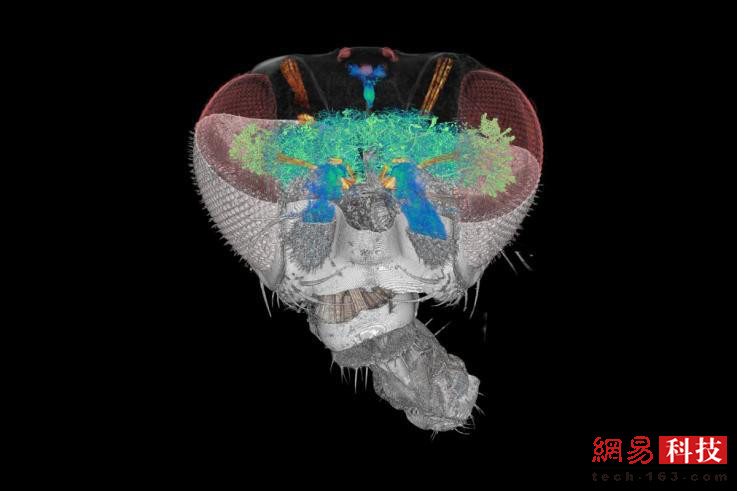 photo%2F0009%2F2018-12-28%2FE43LO73I0AI20009NOS