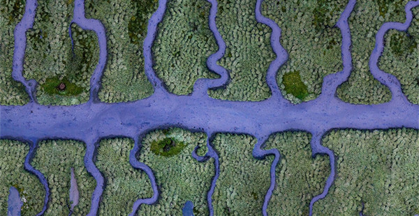 水如何塑造我们的世界