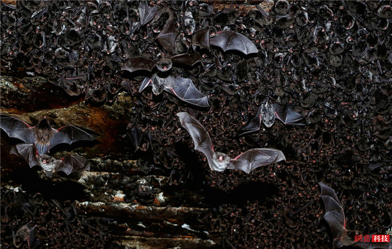 photo%2F0009%2F2019-01-21%2FE61EUUMK0AI20009NOS