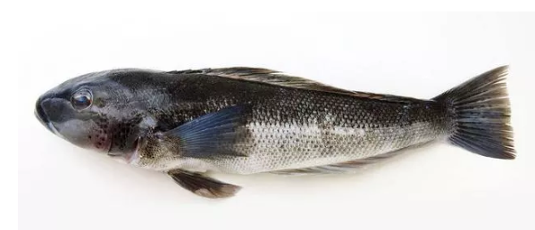 蝌蚪五线谱 - 专注做权威、有趣、贴近生活的互联网科学传播