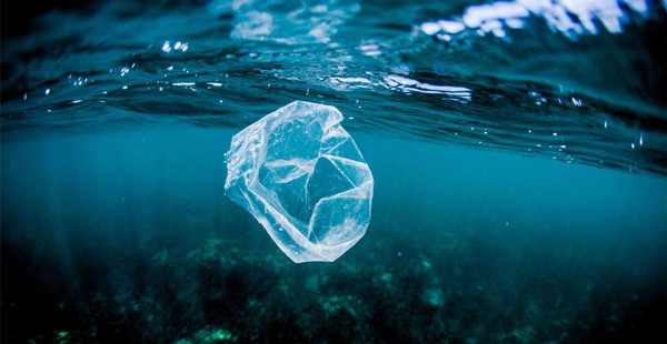 图说海洋中的塑料污染恐怖真相