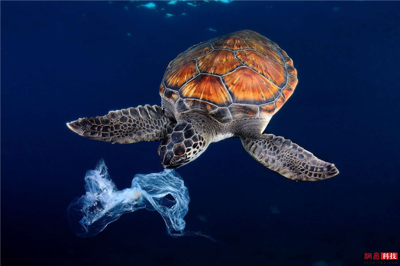 photo%2F0009%2F2019-03-07%2FE9LBCM7V0AI20009NOS