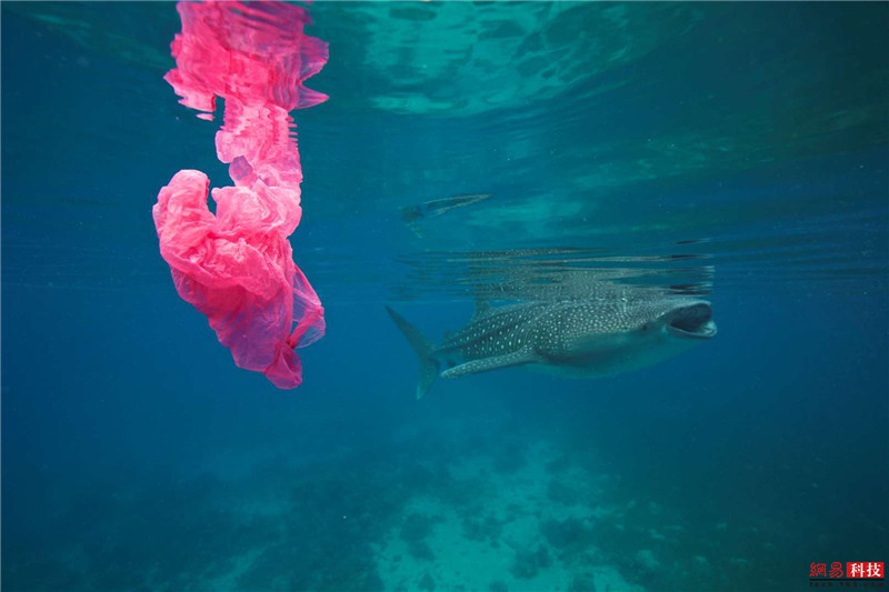 photo%2F0009%2F2019-03-07%2FE9LBCM7U0AI20009NOS