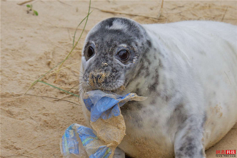 photo%2F0009%2F2019-03-07%2FE9LBCM7S0AI20009NOS