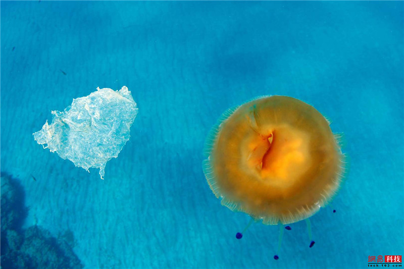 photo%2F0009%2F2019-03-07%2FE9LBCM7R0AI20009NOS