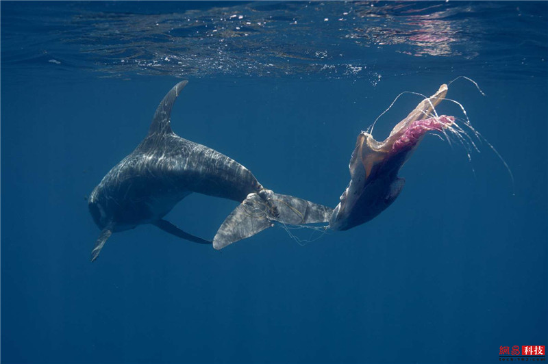 photo%2F0009%2F2019-03-07%2FE9LBCM7Q0AI20009NOS