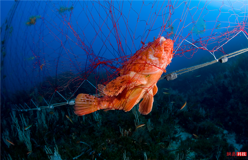 photo%2F0009%2F2019-03-07%2FE9LBCM7P0AI20009NOS